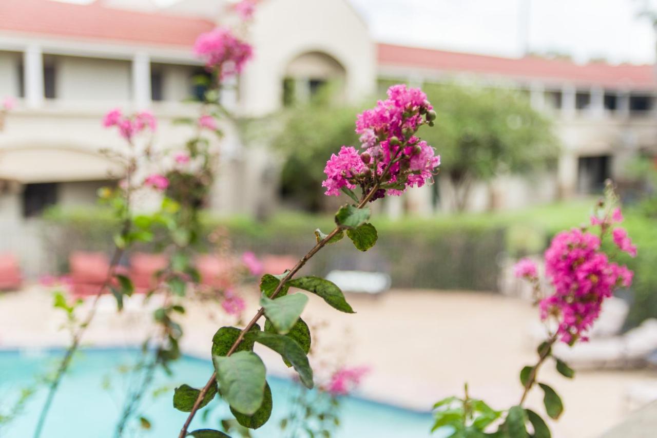 Vineyard Court Designer Suites Hotel College Station Extérieur photo